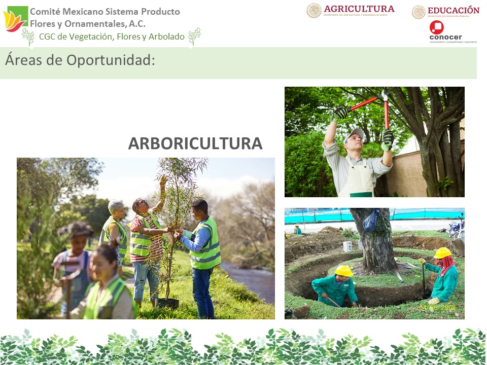 Diapositiva14 Diapositiva14