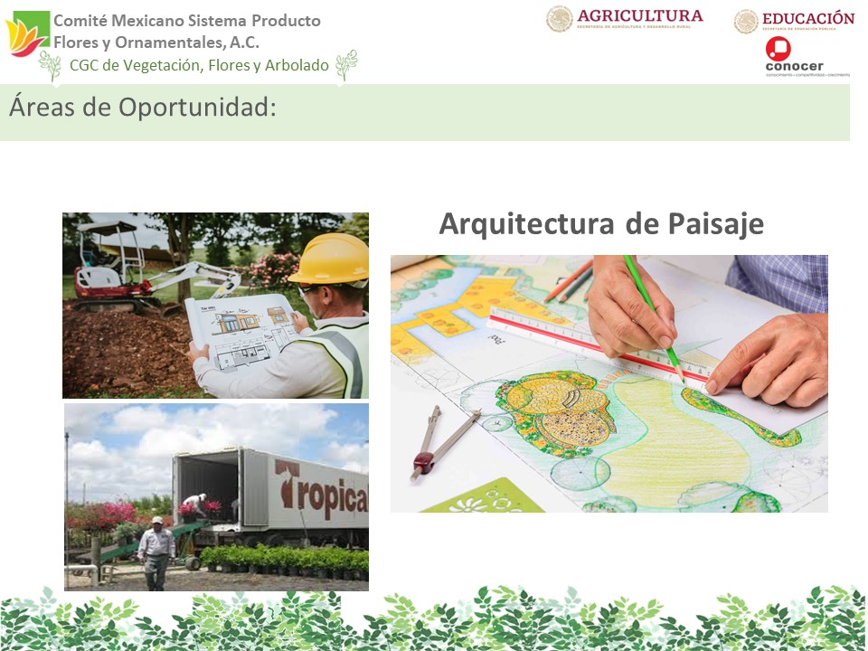 Diapositiva15 Diapositiva15